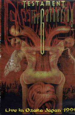 Testament : Live in Osaka Japan 1999 (DVD)